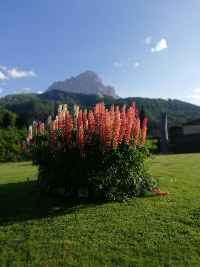 Cedepuent De Sot Apartment Selva di Val Gardena Bagian luar foto