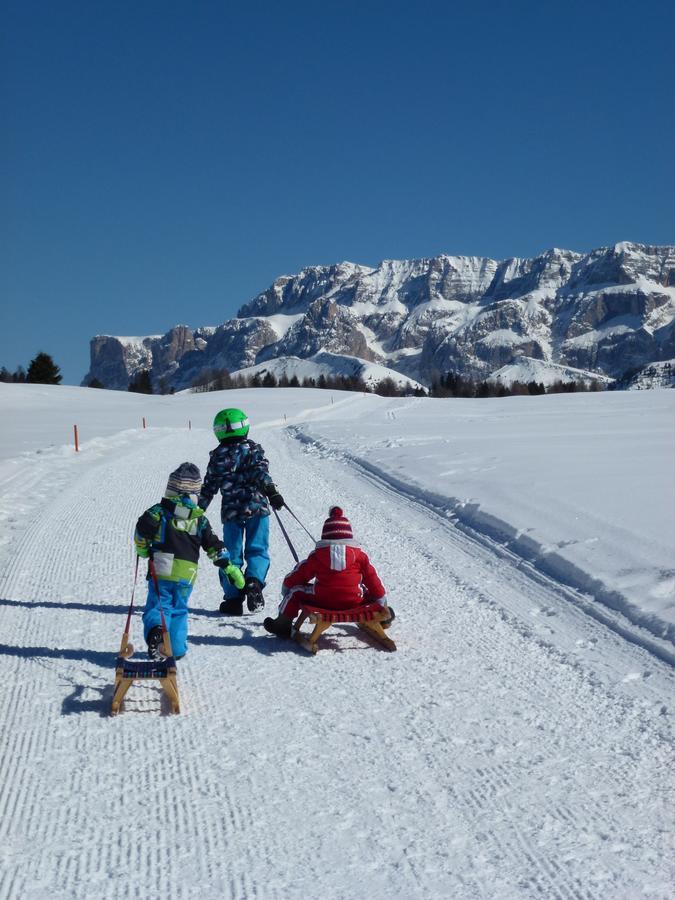 Cedepuent De Sot Apartment Selva di Val Gardena Bagian luar foto